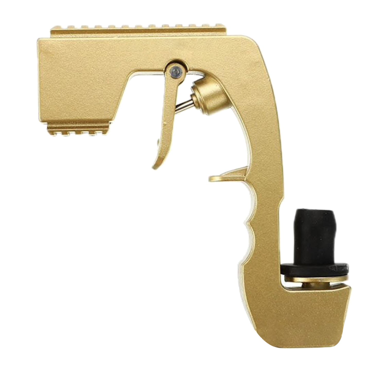 The Spray – Champagne Party Shower